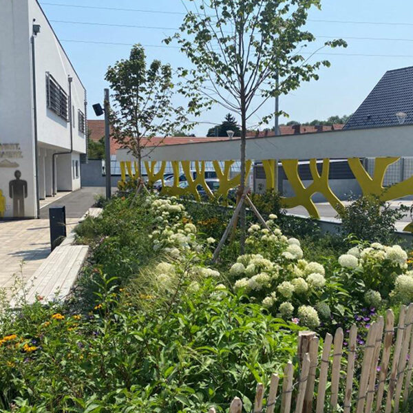 Blumenrabatte mit weißen Hortensien und Holzzaun davor, im Hintergrund ein Gebäude