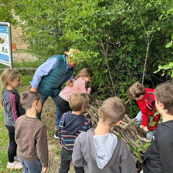 Mit dem Biodiversitätslehrpfad wurde ein kindergerechter Naturweg mit Freiluftklasse geschaffen.