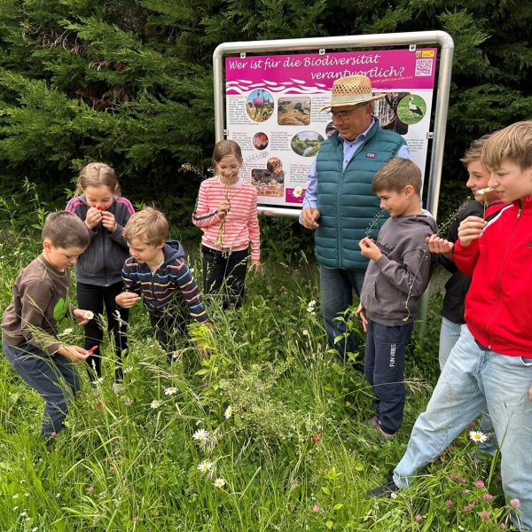 Mit dem Biodiversitätslehrpfad wurde ein kindergerechter Naturweg mit Freiluftklasse geschaffen.