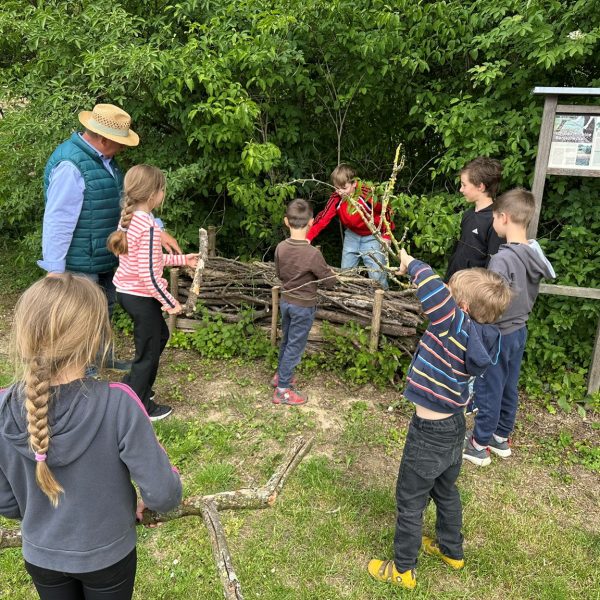 Mit dem Biodiversitätslehrpfad wurde ein kindergerechter Naturweg mit Freiluftklasse geschaffen.