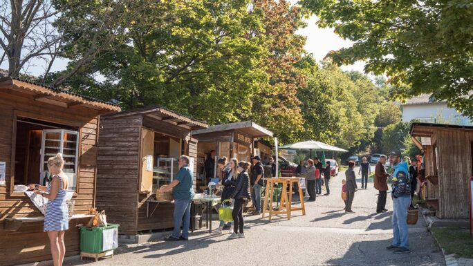 Nachhaltige Gemeindeentwicklung, Dorferneuerung & sanfter Tourismus: Entdecken Sie die lebenswerte Marktgemeinde Großrußbach im Herzen des Weinviertels.