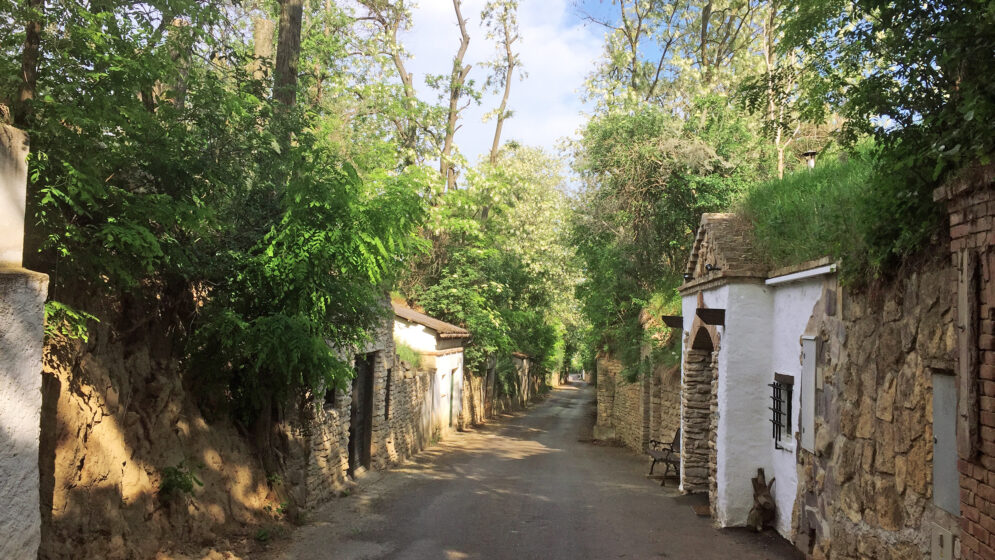 Kellergasse in Hautzendorf