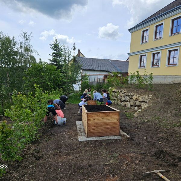Die Hochbeete wurden unter Mithilfe der Schülerinnen und Schüler bepflanzt.
