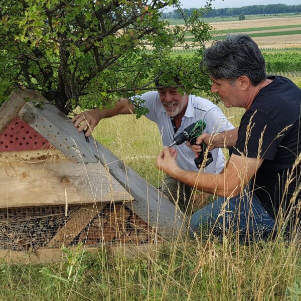 Dorfernenerung bedeutet auch Insektenschutz.