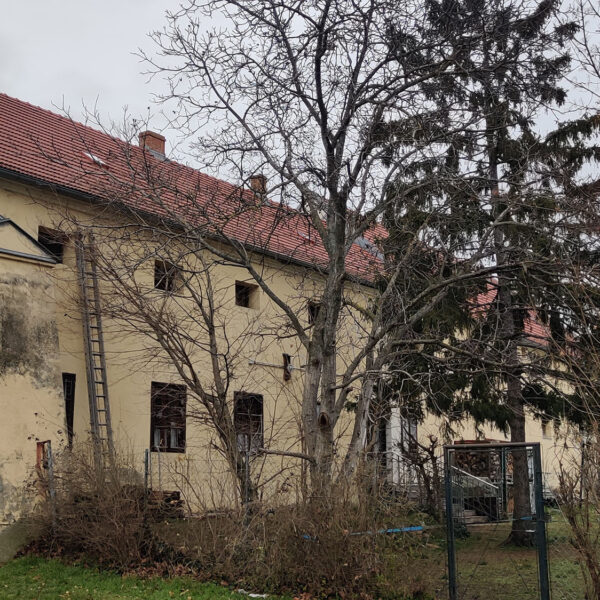 Der Meierhof in Zistersdorf, davor Bäume
