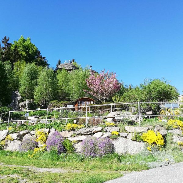 Bad Traunstein – Heilklima, Kultur & Natur im Einklang