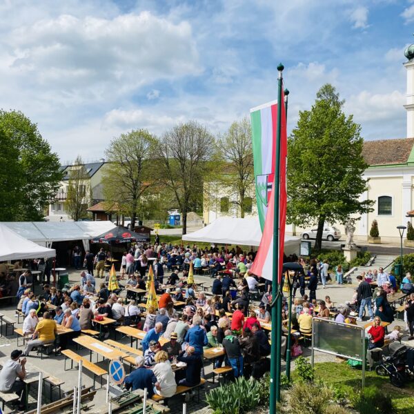 Der Fokus der Dorferneuerung in Laab im Walde liegt auf der Zentrumsentwicklung, der Förderung der regionalen Nahversorgung, der Stärkung der sozialen Infrastruktur sowie der Bewahrung von Grünräumen und Lebensqualität.