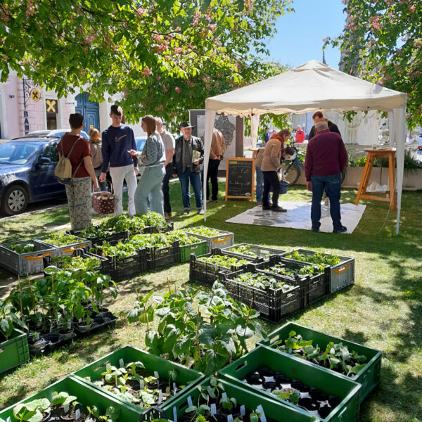 Der Naschmarkt in Kirchberg am Wagram
