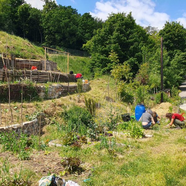 Auf einem öffentlich zugänglichen Grundstück in Paudorf wurde ein Permakultur-Garten eingerichtet, der den Grundsätzen ökologischer Nachhaltigkeit folgt.