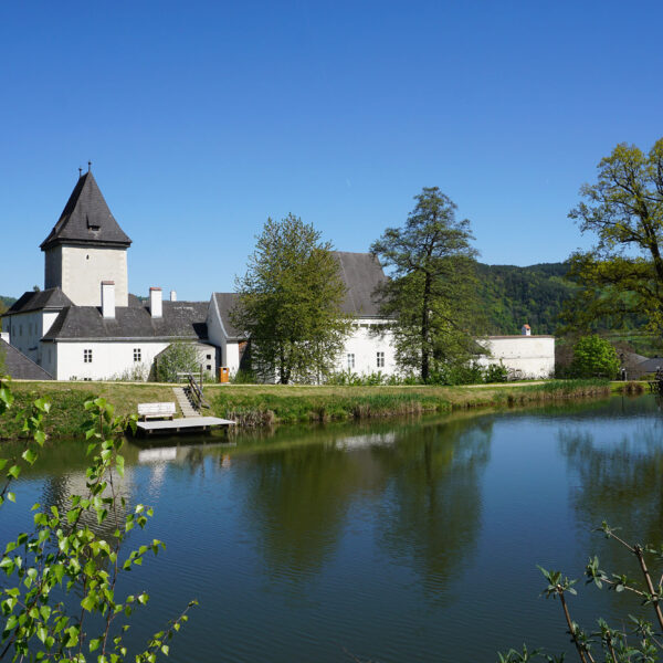 Blick über den Schlossteich auf das Schloss