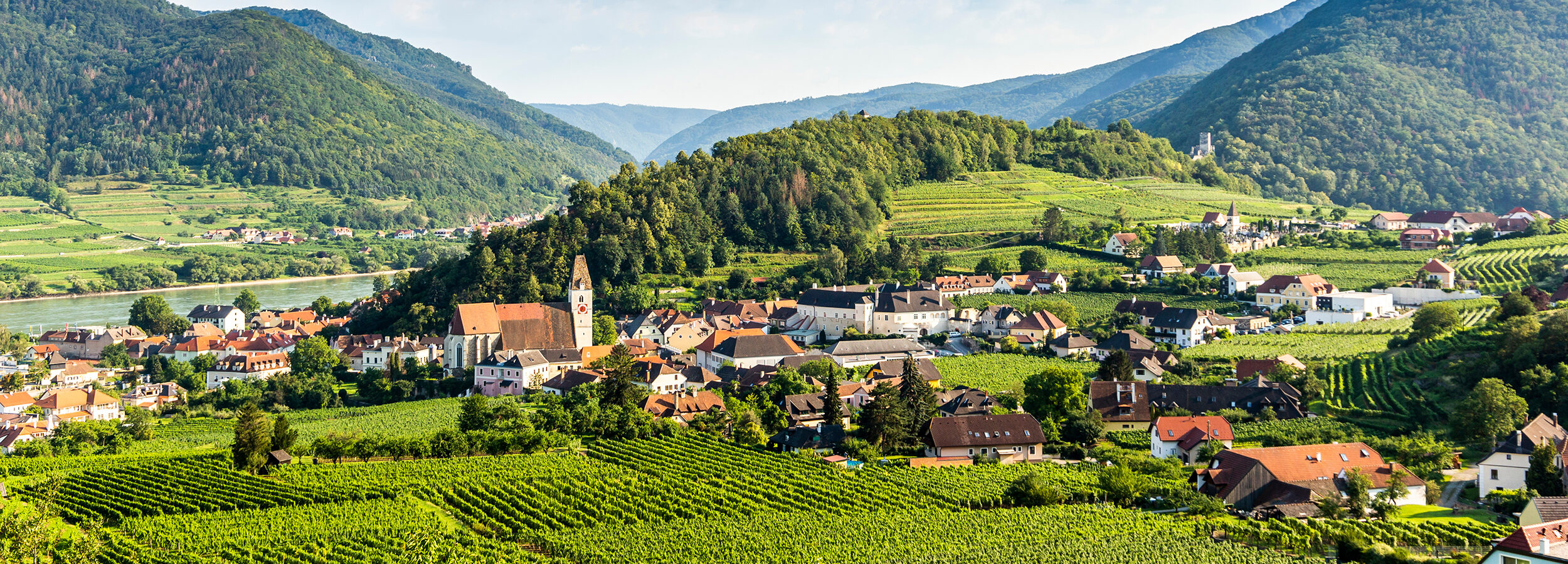 Blick über die Wachau und die Gemeinde Spitz an der Donau