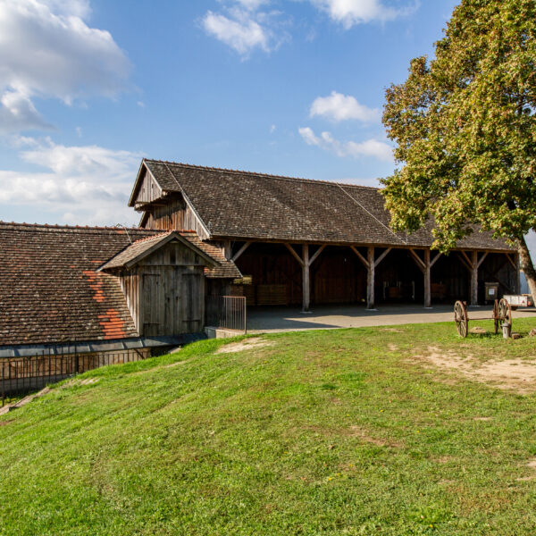 ein alter Stadl, davor ein Baum und eine grüne Wiese