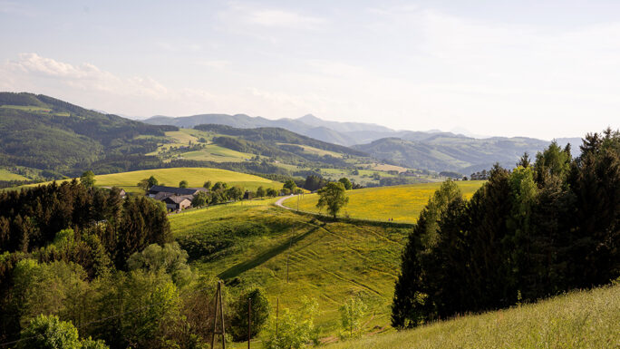 Landschaft: Traisen - Gölsental