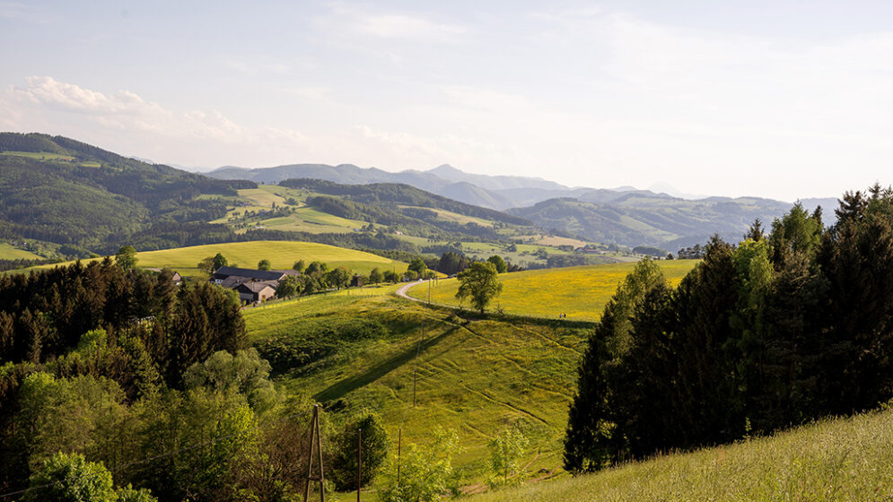 Landschaft: Traisen - Gölsental