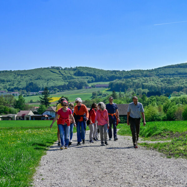 Der Fokus der Dorferneuerung in Laab im Walde liegt auf der Zentrumsentwicklung, der Förderung der regionalen Nahversorgung, der Stärkung der sozialen Infrastruktur sowie der Bewahrung von Grünräumen und Lebensqualität.