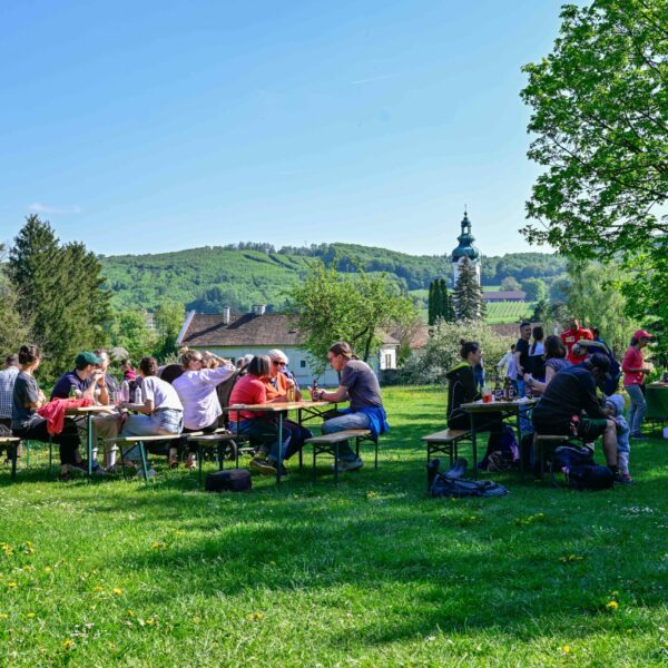Der Fokus der Dorferneuerung in Laab im Walde liegt auf der Zentrumsentwicklung, der Förderung der regionalen Nahversorgung, der Stärkung der sozialen Infrastruktur sowie der Bewahrung von Grünräumen und Lebensqualität.