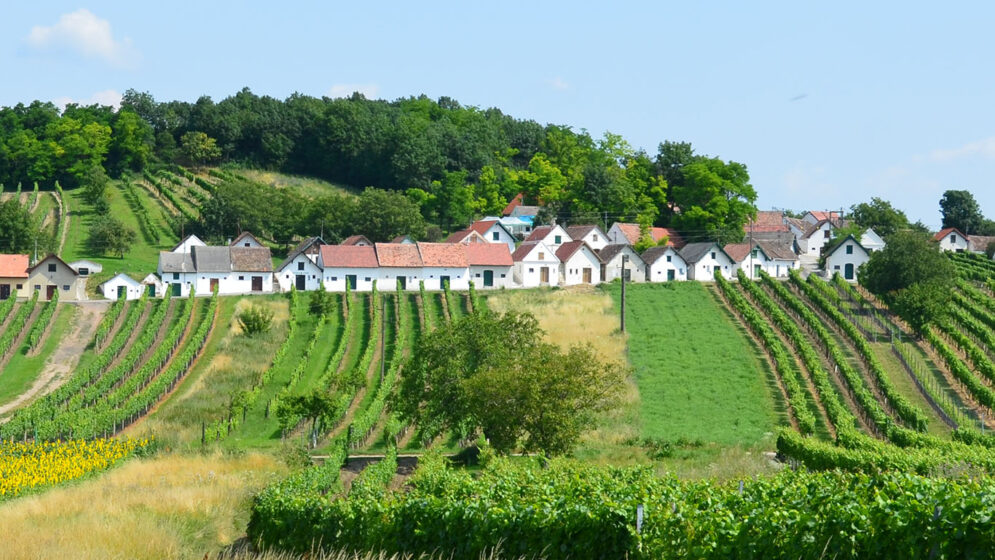 Wildendürnbacher Kellergasse