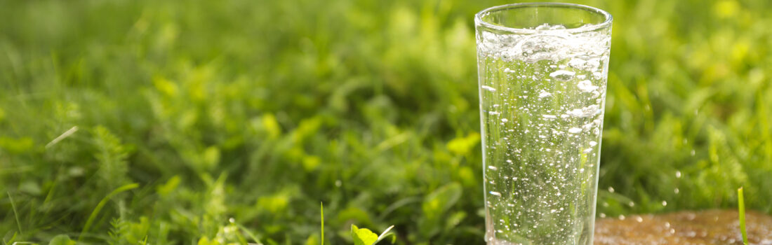 ein Glas klares Wasser, dass auf einem Stein in einer grünen Wiese steht